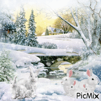 Il neige - Lapins blancs - GIF animé gratuit