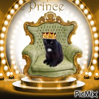 Prince Zivko animovaný GIF