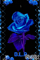 Una rosa blu - GIF animé gratuit