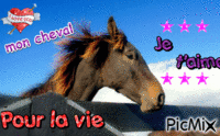 mon cheval - Besplatni animirani GIF