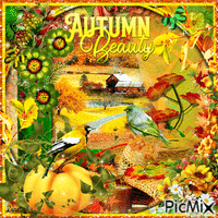 Autumn beauty - Безплатен анимиран GIF