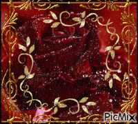 rosa ruby animovaný GIF