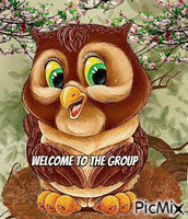welcome owl animerad GIF