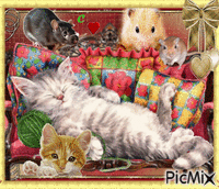 Un chat carrément Royal ! cadeau pour mamiemichèle13 - GIF animé gratuit