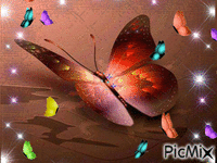 mariposas - 無料のアニメーション GIF