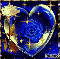 Szív rózsa kék - GIF animado grátis