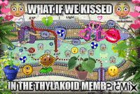 What If We Kissed in the Thylakoid Membrane?