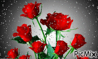 Bukiet róż. - Bezmaksas animēts GIF