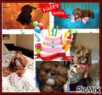 Birthday my dog анимирани ГИФ