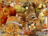 Autumne animuotas GIF