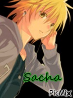 Sacha - Free animated GIF