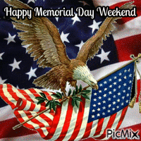 memorial day owl - Free animated GIF
