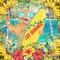 Cat Summer 🐺 GIF animado