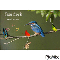 Bon lundi - Бесплатный анимированный гифка