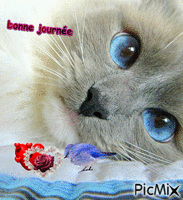 boule d'amour - Darmowy animowany GIF