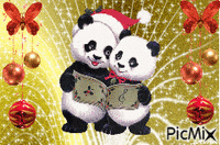 mignons pandas - Gratis animerad GIF