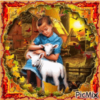 country girl with lambs