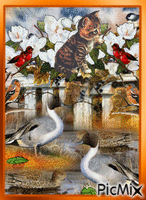 A DRIED UP LAKE AND AN OLD FENCE, ARE HOME TO FROGS, DUCKS, FLOWERS, BIRDS, AND A CAT AFTER THE BIRDS, ON FRAMED IN WITH A FLASHING ORANGE FRAME. geanimeerde GIF