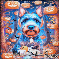 Halloween sweet dog animals - Free animated GIF