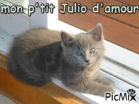 julio - Δωρεάν κινούμενο GIF