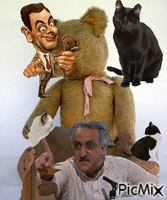 Gatos y osos Animated GIF