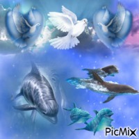 dauphin et colombe animasyonlu GIF