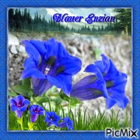 Blaue Blume - GIF animé gratuit