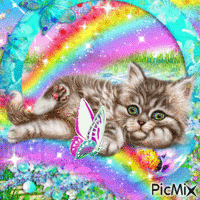 Cat and rainbow-contest - Free animated GIF