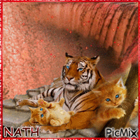 TIGRE ET CHAT - Free animated GIF