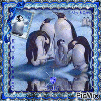 HAPPY FEET - PINGOUIN  !! - GIF animé gratuit