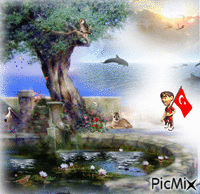 turkish - Zdarma animovaný GIF