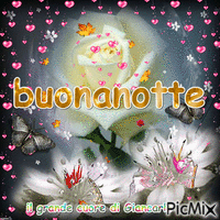 BUONANOTTE - 免费动画 GIF