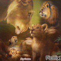 Famille des lions - GIF animé gratuit