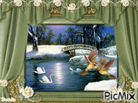 Fenêtre sur la rivière - GIF animate gratis