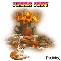 Summer Sunny アニメーションGIF