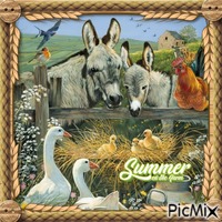Donkeys and farm animals - GIF animé gratuit