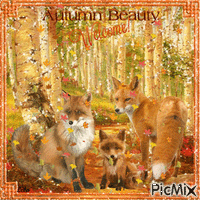 Autumn Beauty , Welcome. Fox family in the forest - Bezmaksas animēts GIF