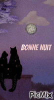 Bonne nuit animovaný GIF