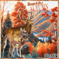 Beautiful Autumn. Deer family