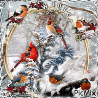 Birds in winter - Бесплатни анимирани ГИФ