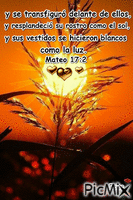 Mateo 17:2 - GIF animado gratis