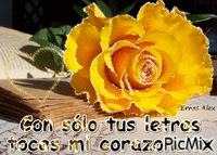 Rosa letras animovaný GIF