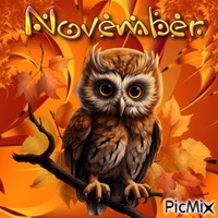 November owl - GIF animé gratuit