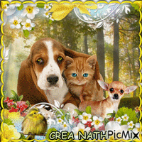 CHIEN ET CHAT animowany gif
