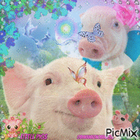 Little Pigs animasyonlu GIF