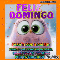 FELIZ DOMINGO - Zdarma animovaný GIF