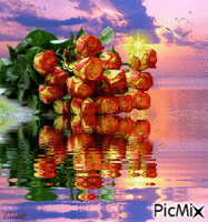 Розы - Безплатен анимиран GIF