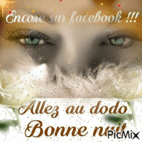 bonne nuit facebook - Бесплатный анимированный гифка