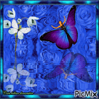 HD femme papillon en reflet sur fond bleu - Zdarma animovaný GIF