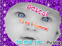 pascal κινούμενο GIF